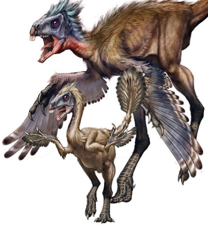 Птіцедінозаври і «неможливість еволюції»