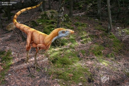 Птіцедінозаври і «неможливість еволюції»