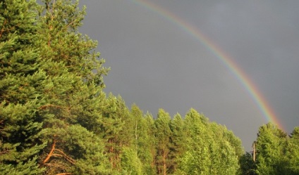 Călătorind în Rusia, ursul râului -