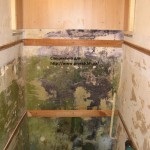 PVC panelek a gazdaság a fürdőszobában javítás, lakások és irodák Harkovban