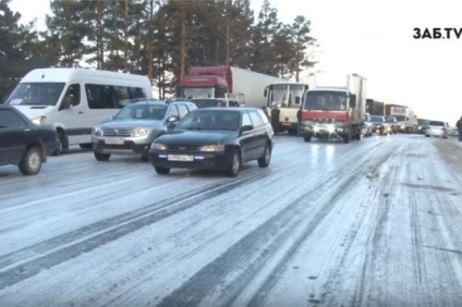 Працівникам Читинської сббж надходять погрози після вилову бездомних собак