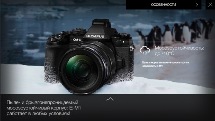 Ремонти і проблеми з olympus om-d e-m1 - авторський проект єва