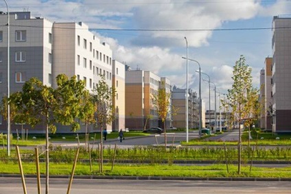 Repararea apartamentelor în satul Slavic