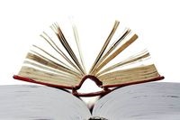 Deciziile Curții de Apel (recurs) Deciziile Curții de Apel