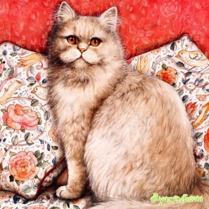 Desene ale pisicilor - revista de familie cryazone - portal de internet online pentru femei și bărbați