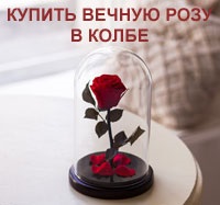 Rose - a virágok királynője