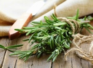 Rosemary - szerkezete, tulajdonságai, előkészítés, receptek (rozmaring összetétele tulajdonságait rozmaring Rosemary recepteket Rosemary haj arc) Rosemary - szerkezete, tulajdonságai, előkészítés, receptek