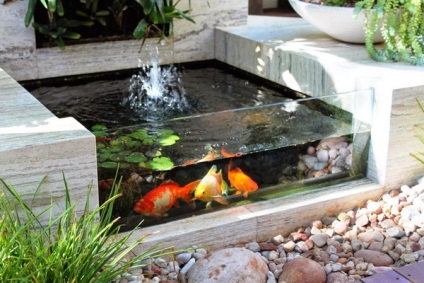 Grădină acvariu este o alternativă excelentă pentru cei care ca pește