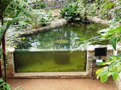 Садовий акваріум на дачі - унікальна прикраса ділянки!