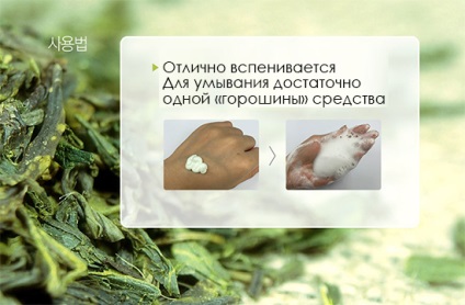 Saem healing tea garden rooibos tea пінка для вмивання з екстрактом чаю ройбуш 150мл Єкатеринбург в