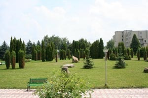 Sanatorium Medobory, de la