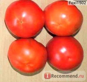 Semințe de tomate Sanya aelita - 