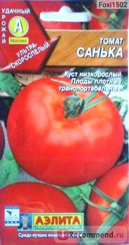 Насіння томату Аеліта санька - «найкращий сорт томата для відкритого грунту! Навіть той, хто ніколи