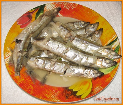 Shkara a kapelán (shkara) Shkara a kapelánhalászati