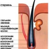 Silocast pentru tratamentul caderii parului - bisturiu - informații medicale și portal educațional