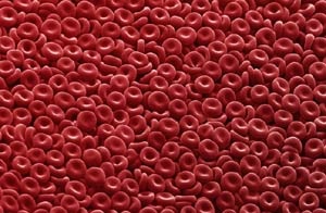 Sisteme de grup sanguine