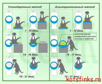 Sisteme-simulatoare de instruire a pisicii Sfinxului la toaleta, Sfinxul