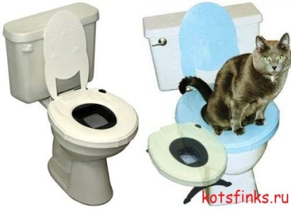 Sisteme-simulatoare de instruire a pisicii Sfinxului la toaleta, Sfinxul