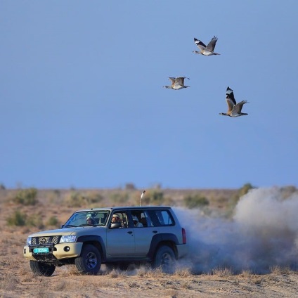 Viața fabuloasă a prințului din Dubai