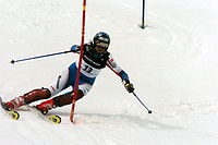 Slalom (schi alpin) este