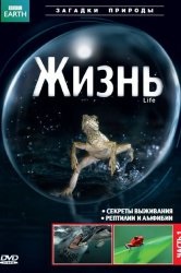 Дивитися серіал Лексс онлайн безкоштовно в хорошій якості