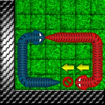 Snake battle - зміїні бої - навчання змії