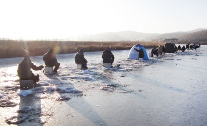 Combaterea pescuitului navaga pe timp de iarnă pe acel dispozitiv de pescuit navaga pentru pescuitul navaga