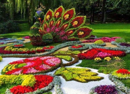 Crearea de paturi de flori - ieftin, clasic și creativ