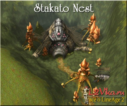 Stakato nest - гніздо стакато - lineage 2