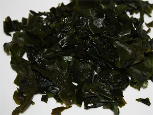 alga leves