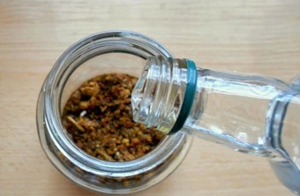 Tatarnik proprietăți medicinale murdare (obișnuite), contraindicații, utilizarea de călile, (medicamente) Tatarnik proprietăți medicinale (obișnuite), contraindicații, utilizarea de ciuline,