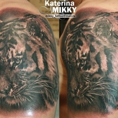 Tattoo tigru - valoare, schițe de tatuaje și fotografii