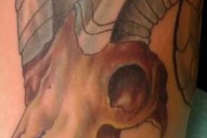 Tattoo arie foto - constelație în tatuaj masculin și feminin, yurets îndrăzneț