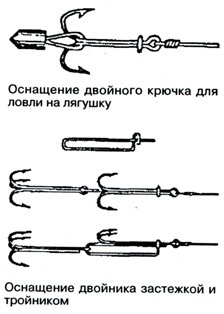 Техніка лову на жабу