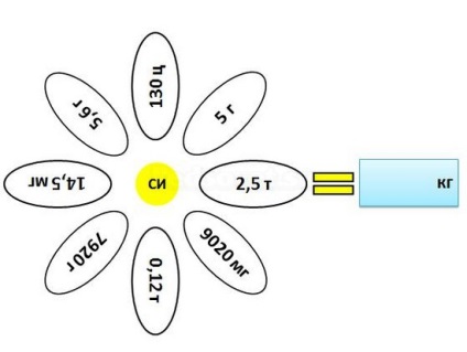 Recepție tehnologică - un mușețel - în ms powerpoint