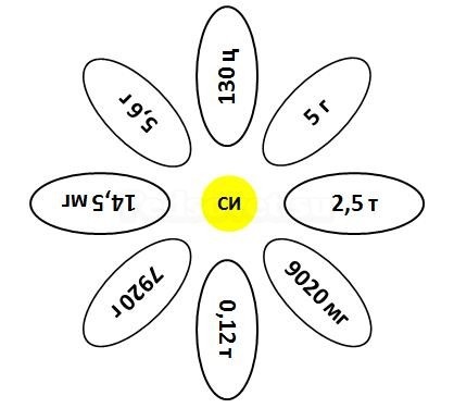 Recepție tehnologică - un mușețel - în ms powerpoint