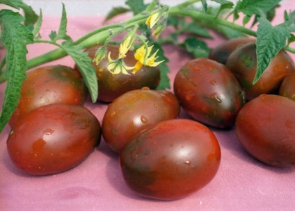 Caracterizarea și descrierea soiului Tomato de barao
