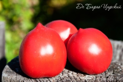Tomato de barao și descrierea soiului 1