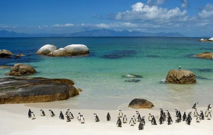 Top 10 Atracții din Cape Town