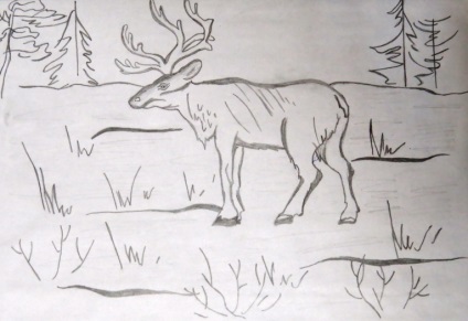 Тундра намалювати поетапно - як намалювати тундру, її флору і фауну