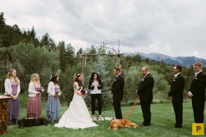 Lăsând labradorul la nunta gazdelor, o poveste emoționantă despre prietenie - și noi