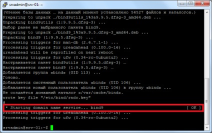 Instalarea și configurarea serverului dns de la ubuntu