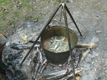 Ureche de la roach - rețetă pentru supă de pescuit cu ceață