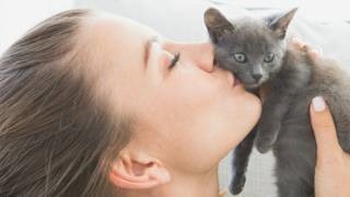 Este important ca pisicile să cunoască starea de spirit a proprietarilor lor BBC de servicii rusești