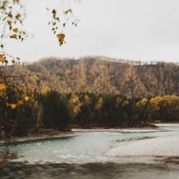 Magnificența nunții Altai a lui Serghei și Ksenia