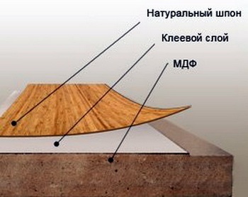 Види шпону і способи шпонирования