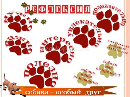 Вікторина з відповідями для учнів 3-7 класу на тему собаки