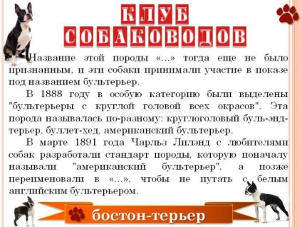 Вікторина з відповідями для учнів 3-7 класу на тему собаки