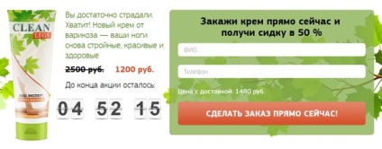 Вантажні блискучі диво будиночки - ідеї і майстер клас від Марти Стюарт