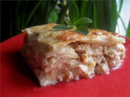 Delicități - lasagna cu sos de pui și smântână - rețete de la daiquiri